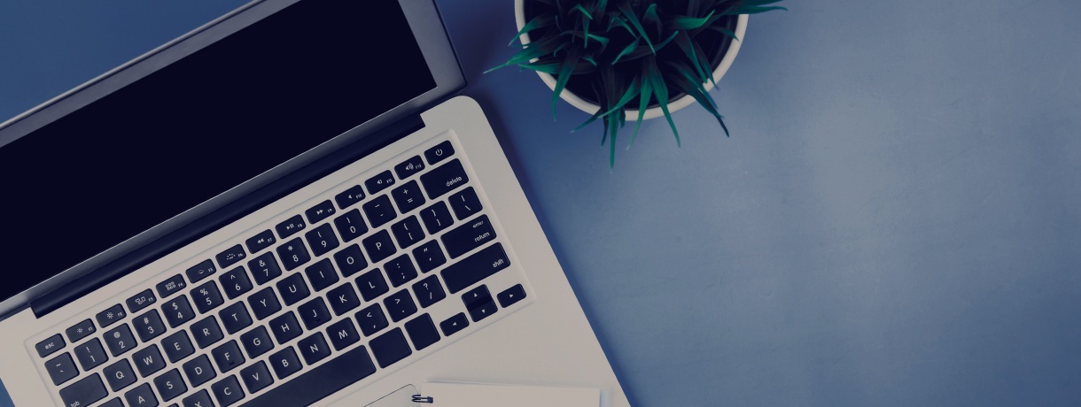 Open laptop on desk beside a small plant, creating a focused workspace for grant writing.